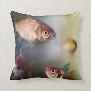 Coussin de poisson rouge