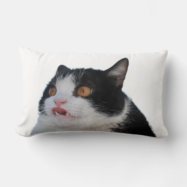 Coussin de Pokey (Recto)