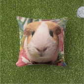 Coussin de porc (Herbe)