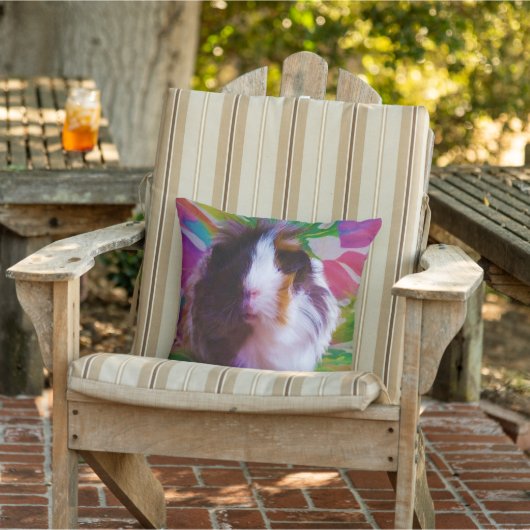 Coussin de porc de Guinée - Coco (Chaise)