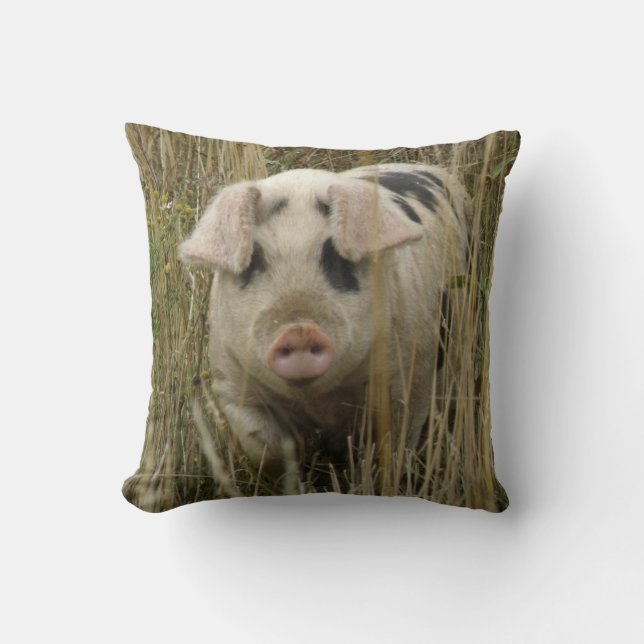 Coussin de porc mignon (Recto)