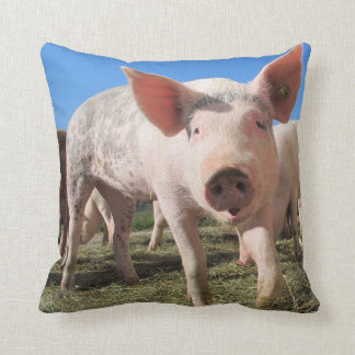 Coussin de porc mignon