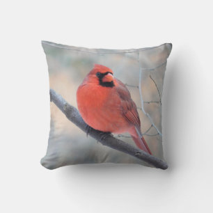 Coussin de Pose du Cardinal Rouge
