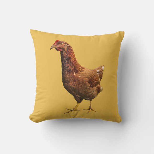 Coussin de poulet de poule de rouge d'île de Rhode (Recto)