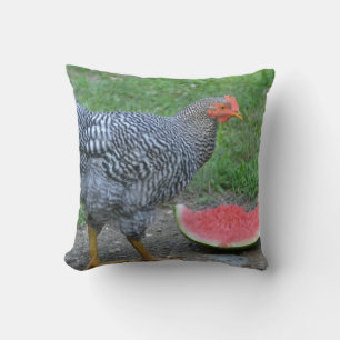 Coussin de poulet et pastèque