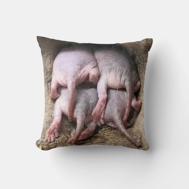 Coussin de rat de taupe nue (Recto)