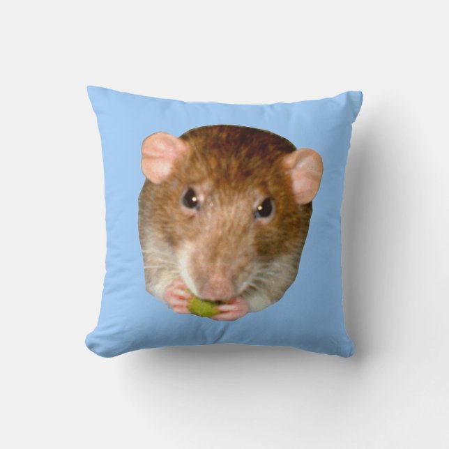 Coussin de rats affamés (Recto)