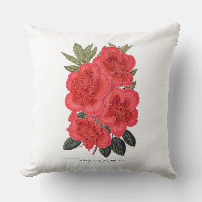 Coussin de Red Azalea indica (Recto)