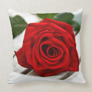 Coussin de Red Rose