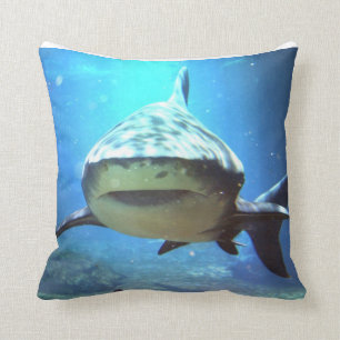 Coussin de requin