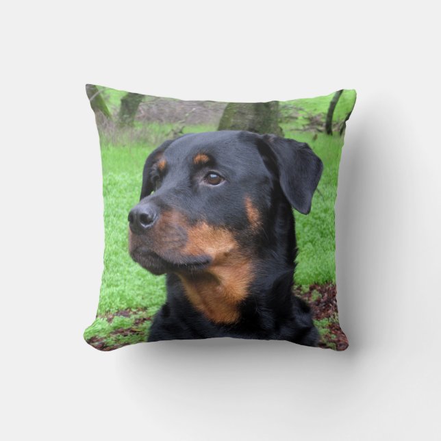 Coussin de rêverie de rottweiler (Recto)