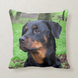 Coussin de rêverie de rottweiler