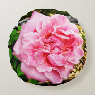 Coussin de rose du rêve de Belinda