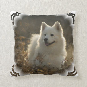 Coussin de Samoyed