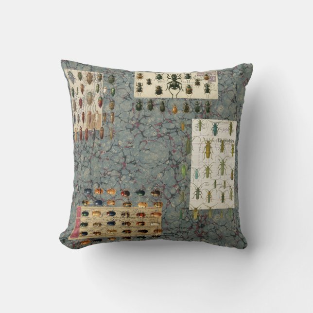 Coussin de scarabée (Recto)