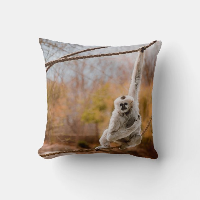 Coussin de singe (Recto)