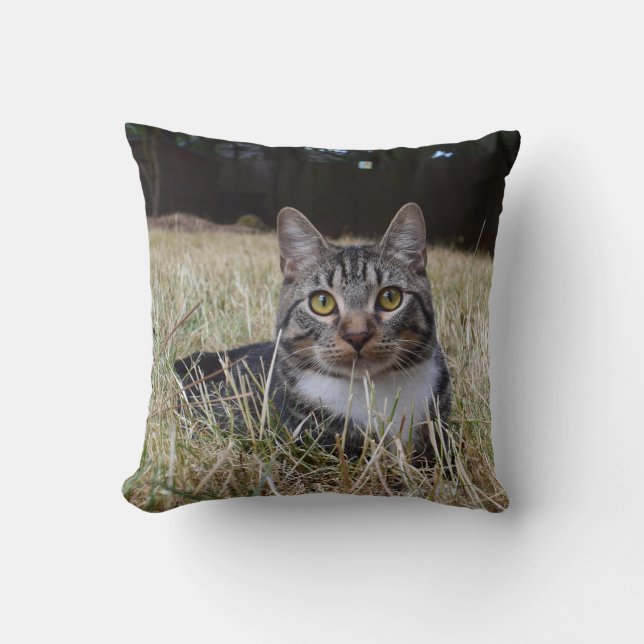 Coussin de Skooter (Recto)