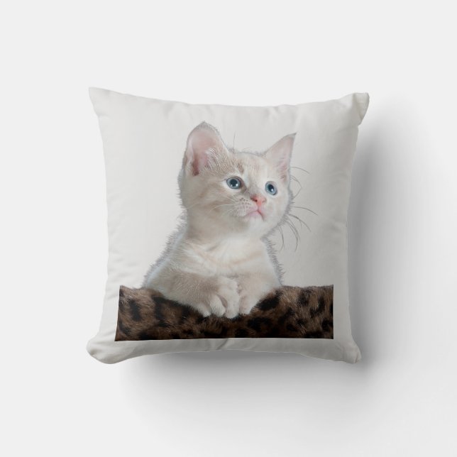 Coussin de style animal (Recto)