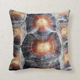 Coussin de Sulcata