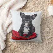 Coussin de taureau français (Couverture)