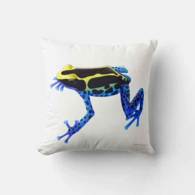 Coussin de teinture de grenouille de dard de (Recto)