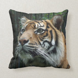 Coussin de tigre de Sumatran