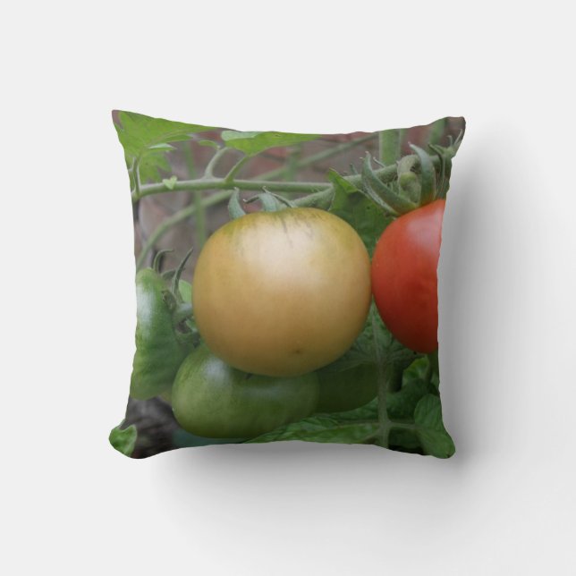 Coussin de tomates du feu de circulation (Recto)