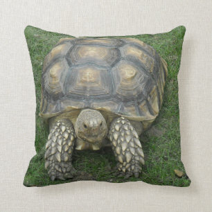 Coussin de tortue