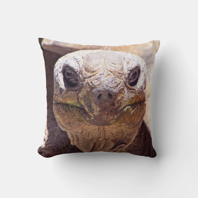 Coussin de tortue cool ! (Recto)