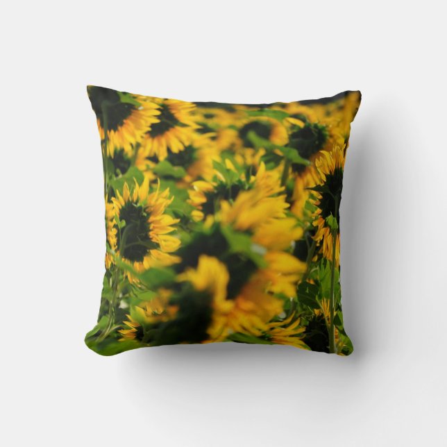 Coussin de tournesol (Recto)