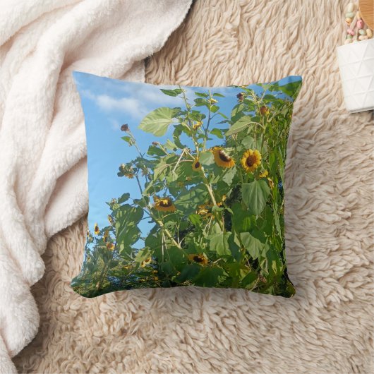 Coussin de tournesol (Couverture)