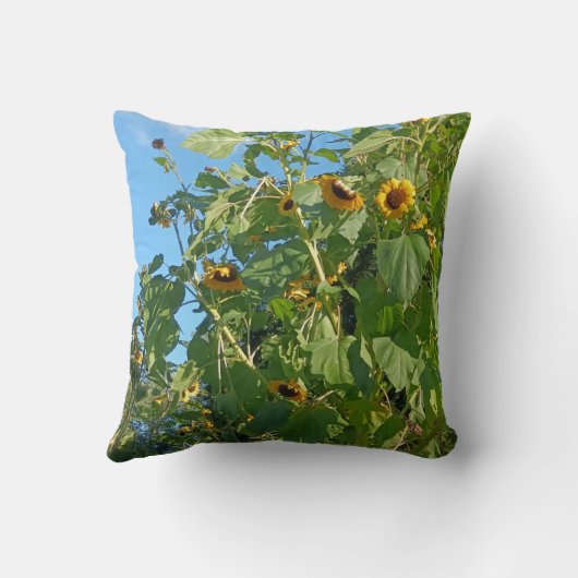 Coussin de tournesol (Verso)
