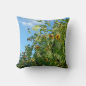 Coussin de tournesol (Recto)