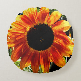 Coussin de tournesol d'automne