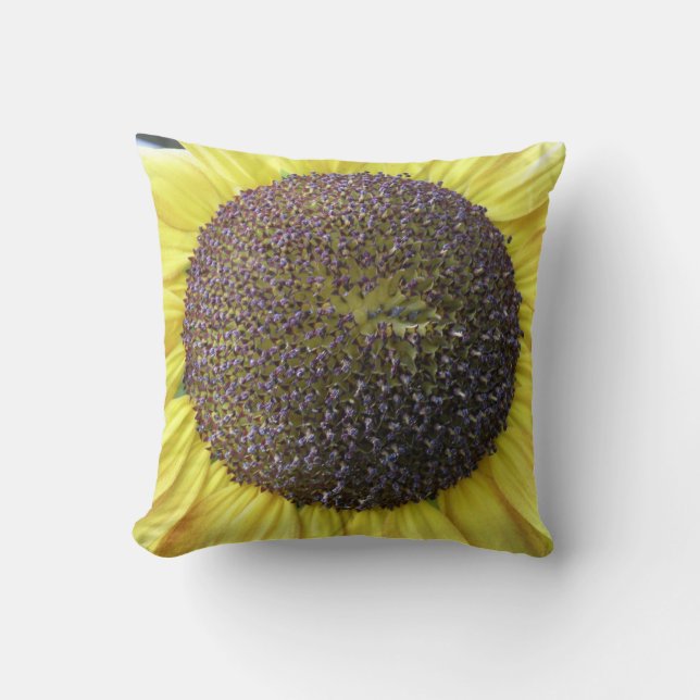 Coussin de tournesol jaune (Recto)