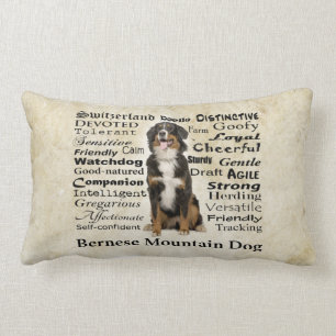 Coussin de traits de Berner