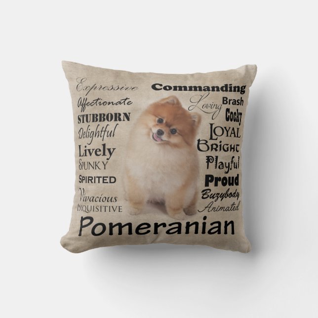 Coussin de traits de Pomerian (Recto)
