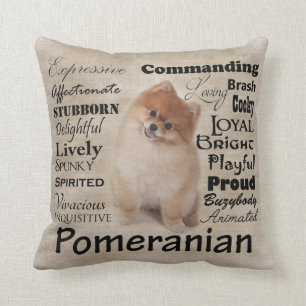 Coussin de traits de Pomerian