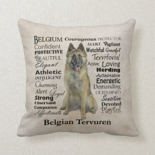 Coussin de traits de Tervuren de Belge