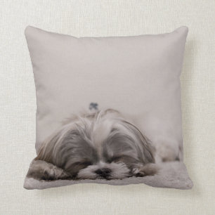 Coussin de tzu de sommeil Shih, chien de sommeil