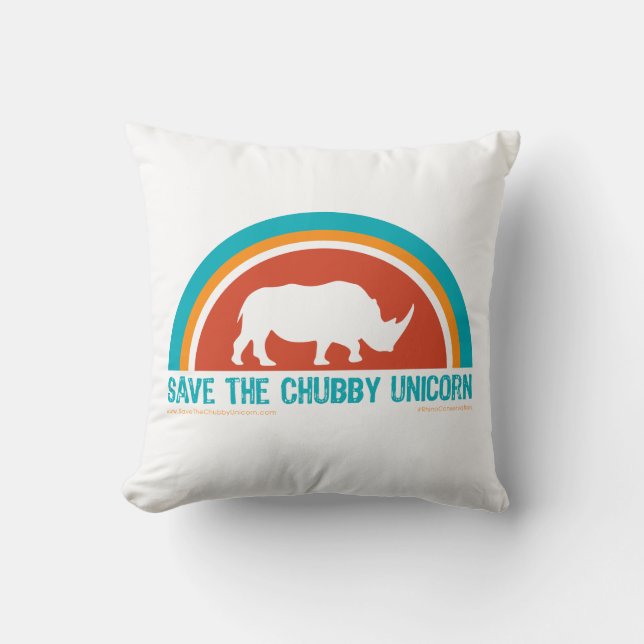 Coussin de voûtes (Recto)