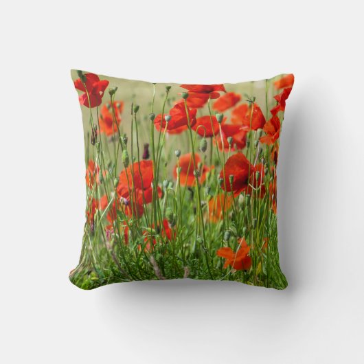 Coussin de vue de champ de pavot rouge (Recto)