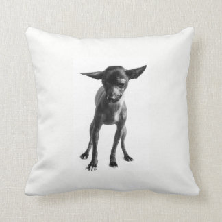 Coussin de Xoloitzcuintle