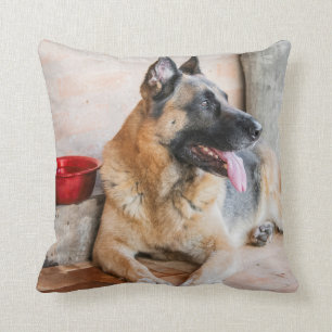 Coussin Déchets Allemands Reposés Par Le Bassin D'Eau