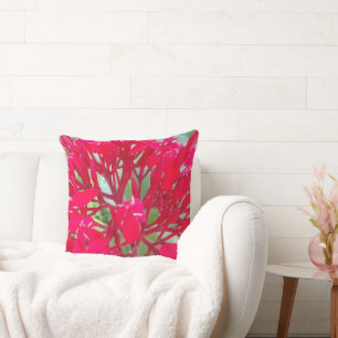 Coussin Décoquis
