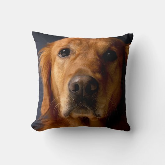 Coussin Décor de maison de carreau de chien de golden (Recto)