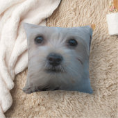 Coussin Décor maltais de maison de carreau de chien (Couverture)