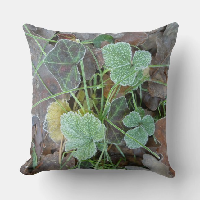 Coussin décoratif à motif de feuilles gelées (Recto)
