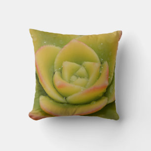 Coussin décoratif à motif de succulente émeraude
