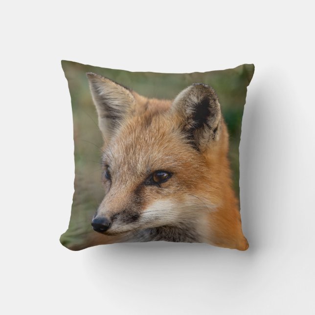  Coussin décoratif au portrait de renard (Recto)